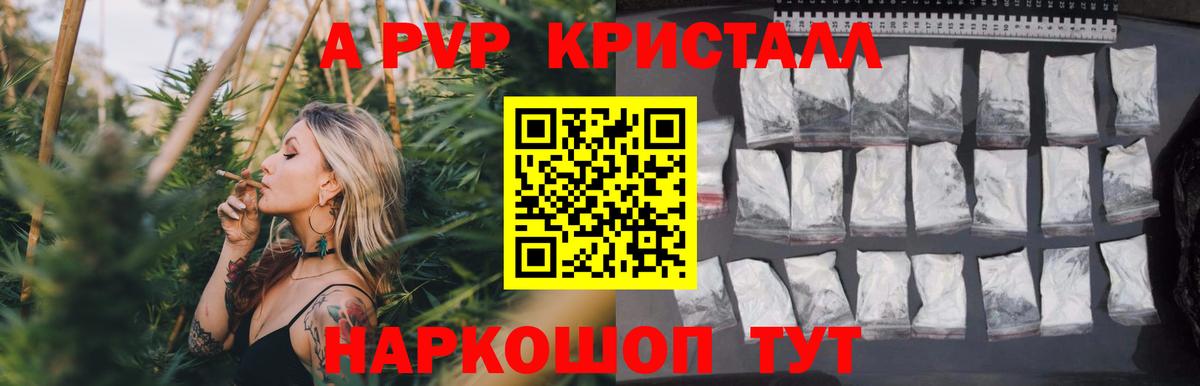 Альфа ПВП СК Малгобек